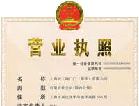 企业法人营业执照