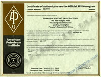 美国石油学会 API 6D 认证