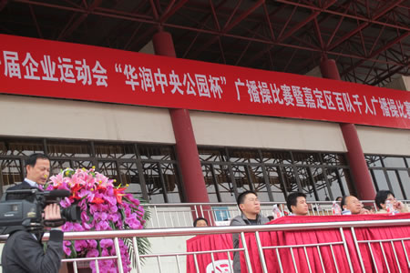 嘉定区第一届企业运动会广播操比赛主席台