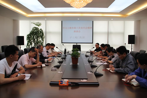 十大滚球app官网召开学习上海市第十次党代表大会精神座谈会