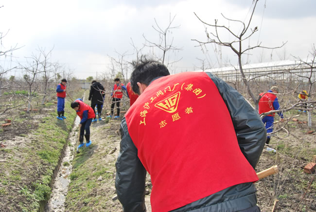 公司志愿者参与除草志愿活动