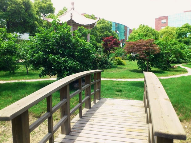 《寻找沪工最美地方》摄影活动一等奖(图 3)