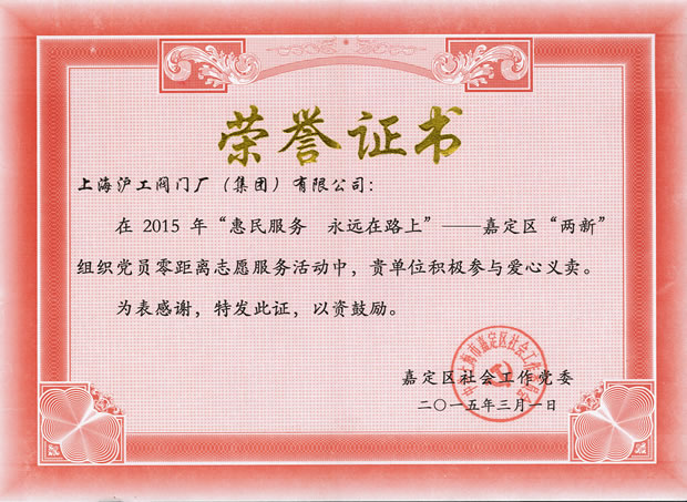 嘉定区社会工作党委颁发的荣誉证书