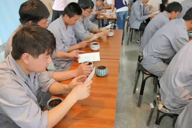 华亭镇团委联合上海沪工阀门厂开展微景观绿植DIY活动(图3)