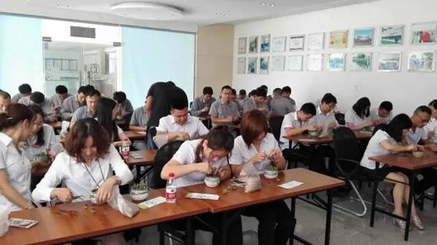 华亭镇团委联合上海沪工阀门厂开展微景观绿植DIY活动(图4)