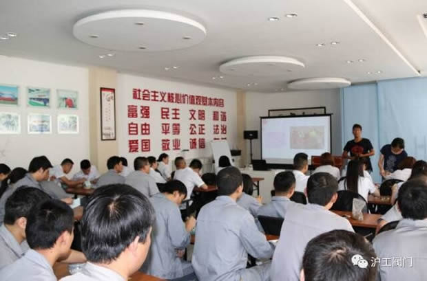 华亭镇团委联合上海沪工阀门厂开展微景观绿植DIY活动(图6)