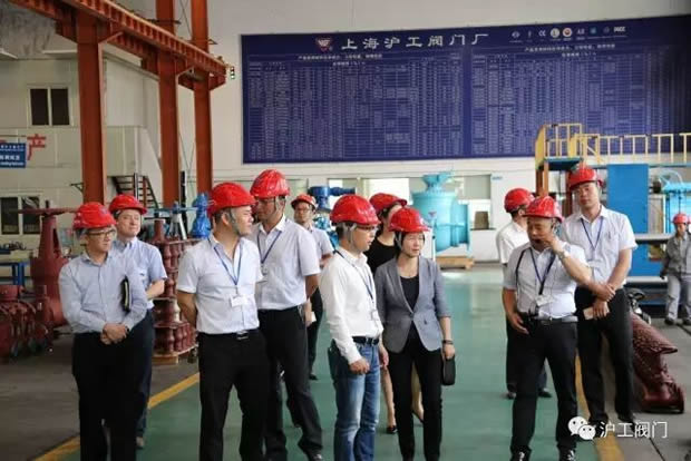 嘉定区副区长陆祖芳等领导一行莅临我公司视察指导工作（图7）