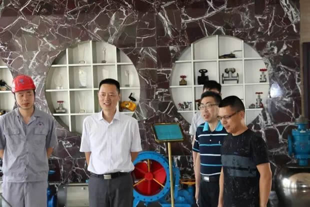 总工会领导及专家指导我司职业卫生安全防护工作(图2)