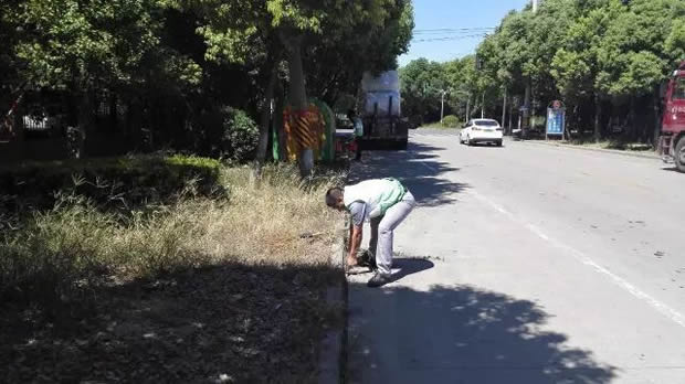 沪工阀门美丽华亭清洁家园志愿者活动(图2)