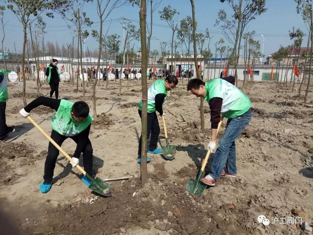 2018年上海沪工阀门厂3.12植树节活动（图3）