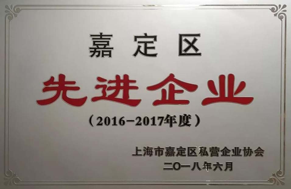 嘉定区先进企业奖牌