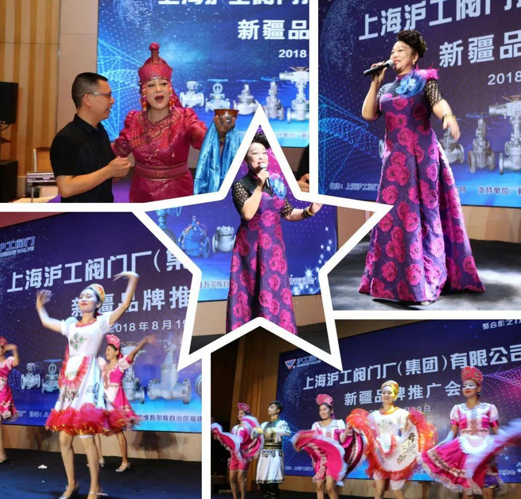 十大滚球app官网新疆品牌推广会（图6）