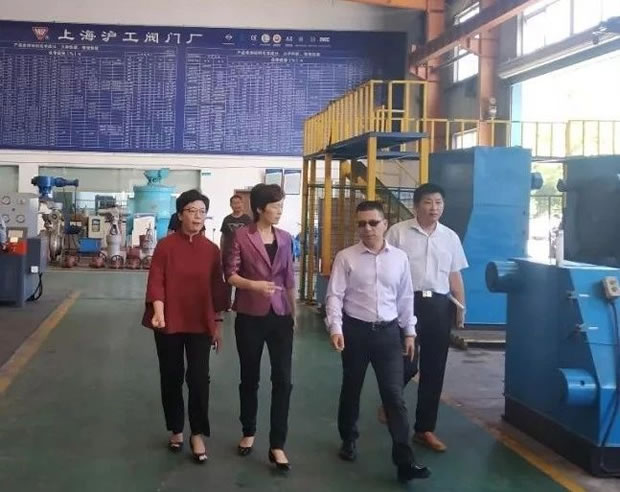 上海市嘉定区委常委、副区长董依雯视察生产车间（图1）