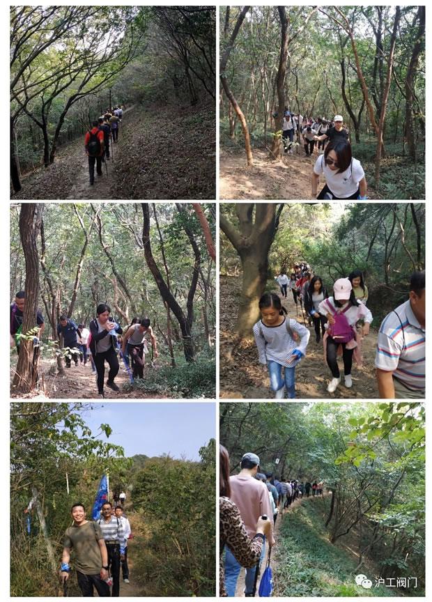 上海沪工阀门厂2019年秋季徒步毅行活动（图4）