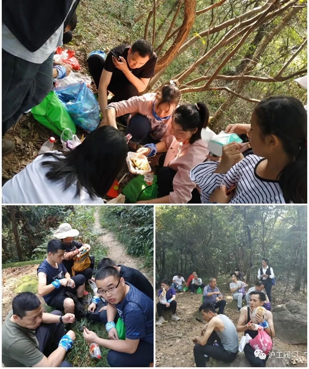 上海沪工阀门厂2019年秋季徒步毅行活动（图5）