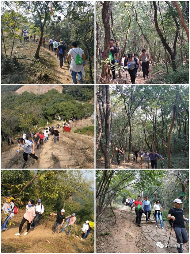 上海沪工阀门厂2019年秋季徒步毅行活动（图6）