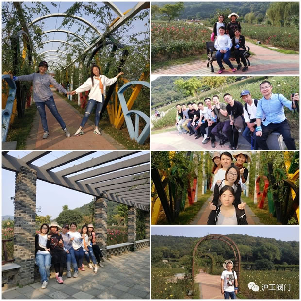 上海沪工阀门厂2019年秋季徒步毅行活动（图7）