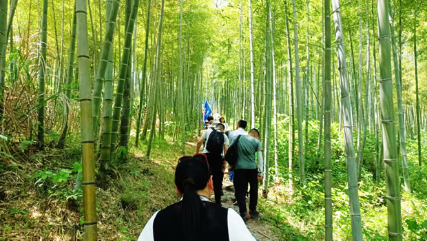 上海沪工阀门厂2024安吉章里古道户外徒步活动（图3）