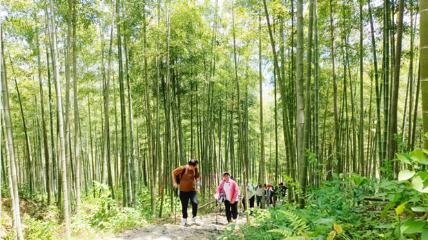 上海沪工阀门厂2024安吉章里古道户外徒步活动（图4）