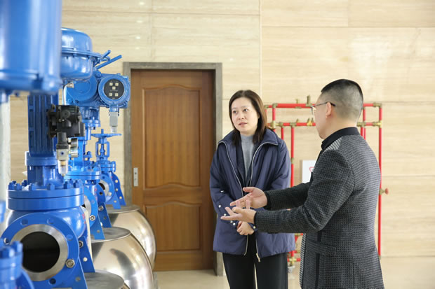 华亭镇党委书记叶蓉一行走访调研上海沪工阀门厂（图1）